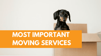 >What Services Do...